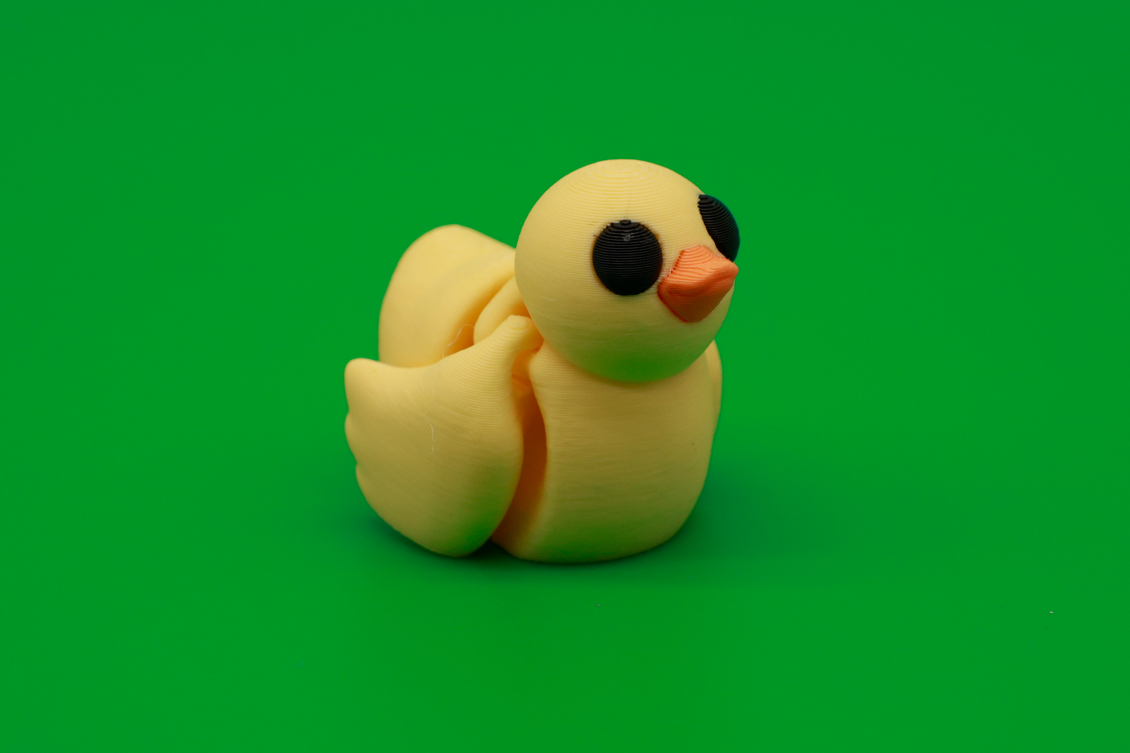 Duck